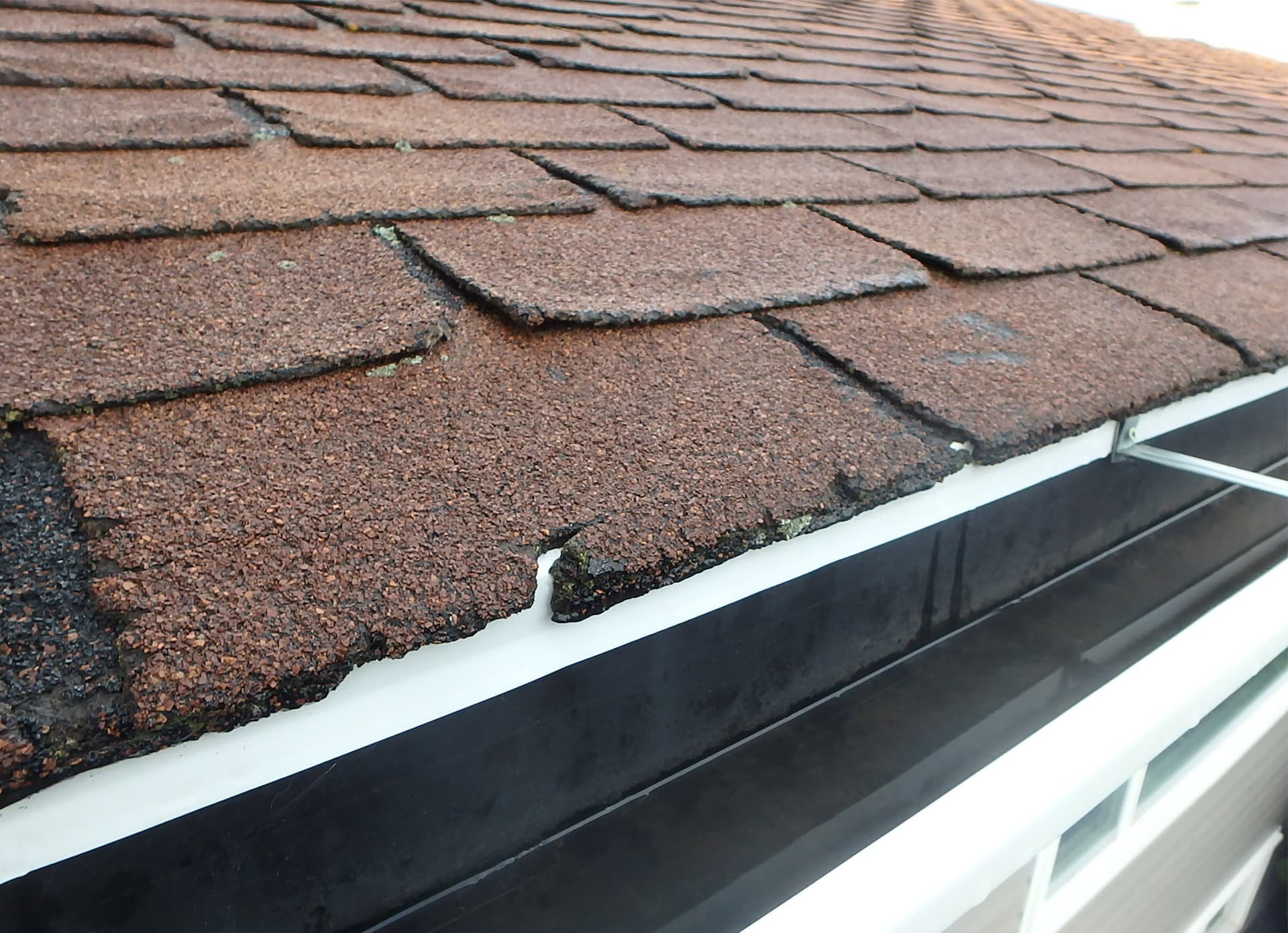 Prevent Hail Damage