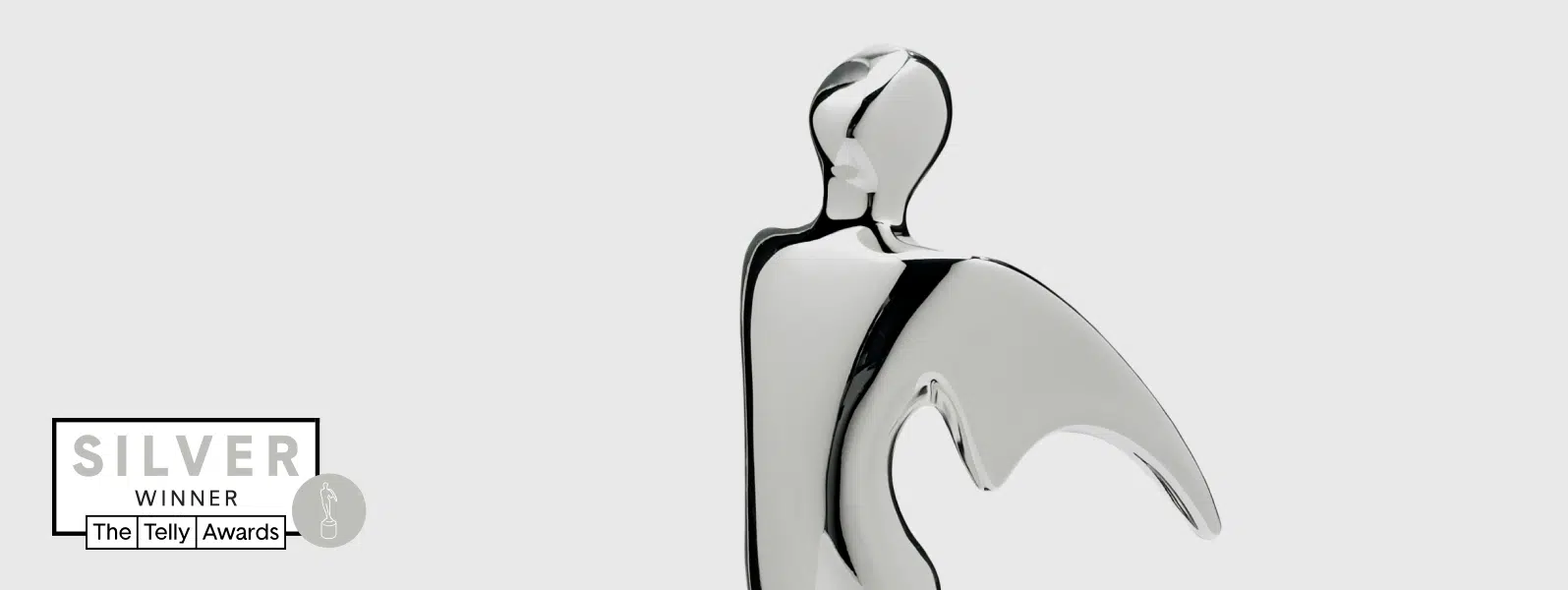 Rhino Roofers Silver Telly Awards winner