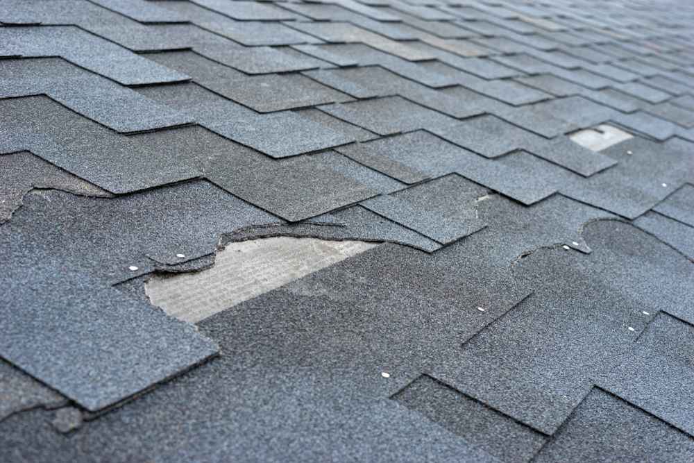 asphalt shingle roof with damage to the shingles