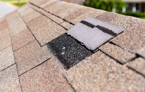 shingle roof with wind damage