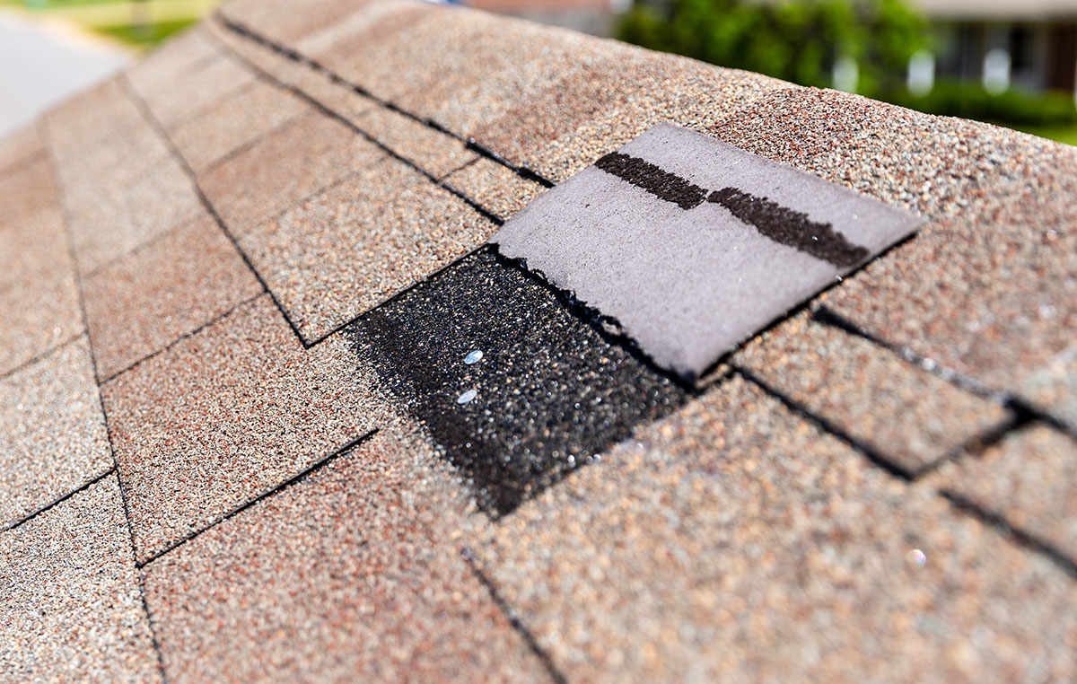 shingle roof with wind damage