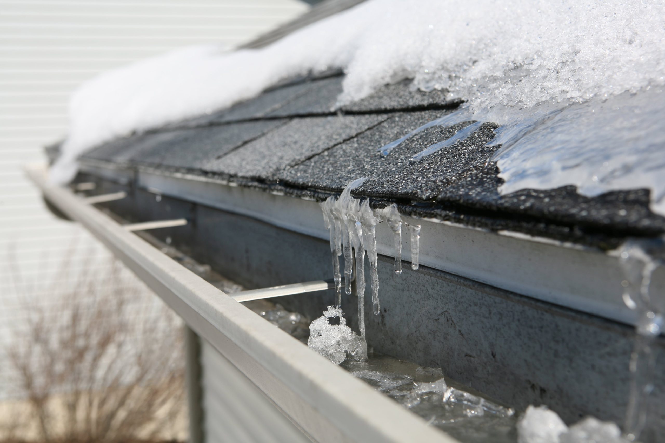 shingle roof with snow and icicles