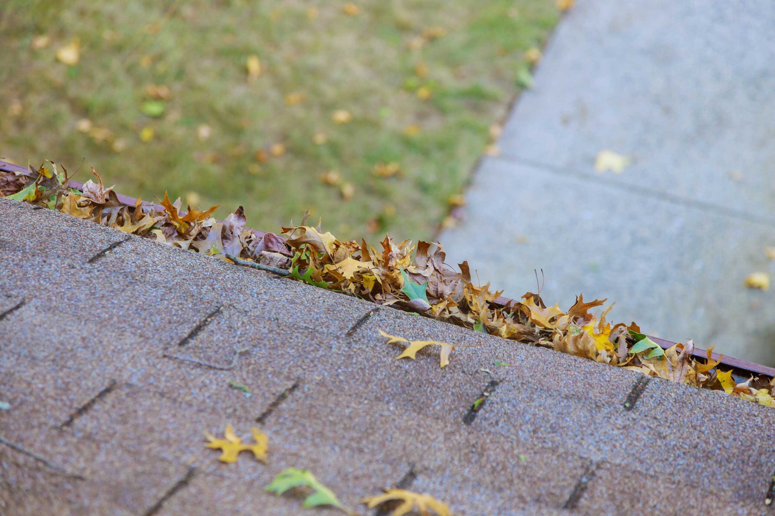 An angled view of a roof with asphalt shingles and a clogged gutter full of fallen leaves, highlighting the need for cleaning against an autumnal backdrop with scattered leaves on the ground.