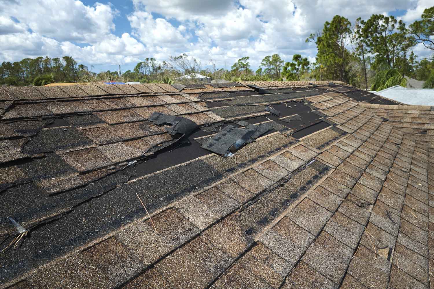 Damaged section of a house roof with missing and torn asphalt shingles, against a backdrop of trees and a clear sky, indicating recent strong weather events or wear.