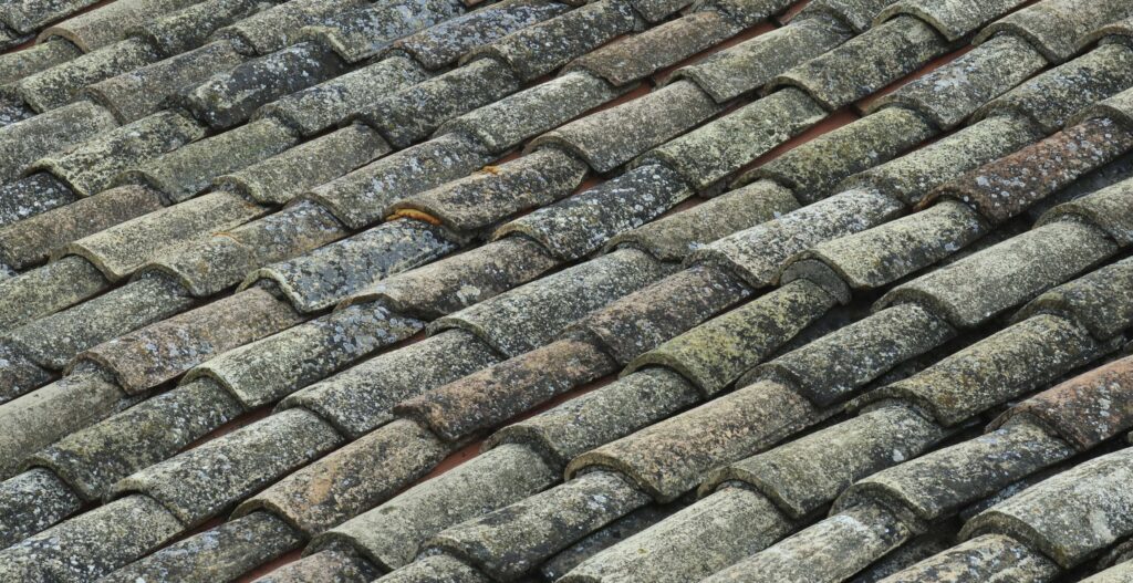 Diagonal rows of old, weathered roof tiles covered in moss and lichen, showcasing varying colors and the effects of long-term exposure to the elements.