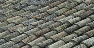 A close-up of old terracotta roof tiles covered in lichen and moss, depicting the texture and weathering on a rooftop.