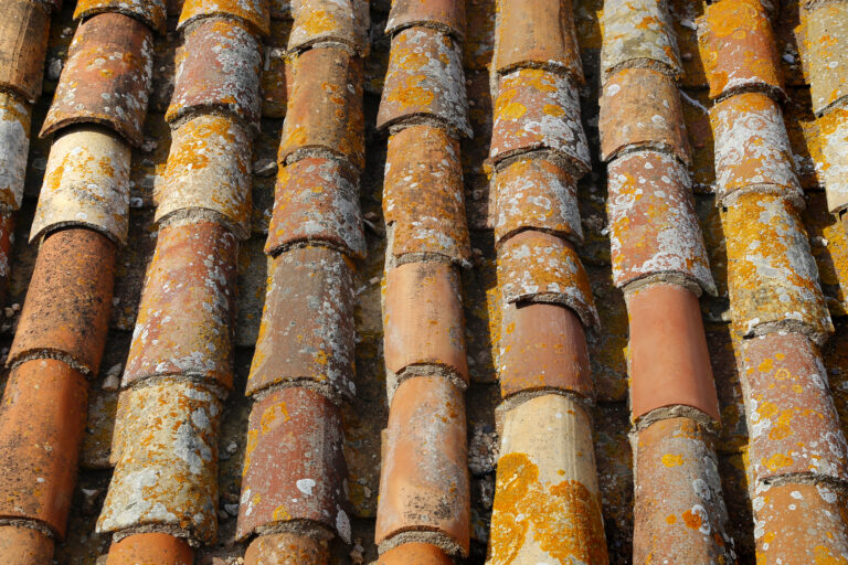 Close-up of old terracotta roof tiles covered in patches of yellow and orange lichen, showing the texture and natural weathering of the materials.