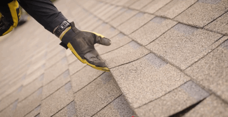Rhino Roofers inspector checking a roof for shingle damage