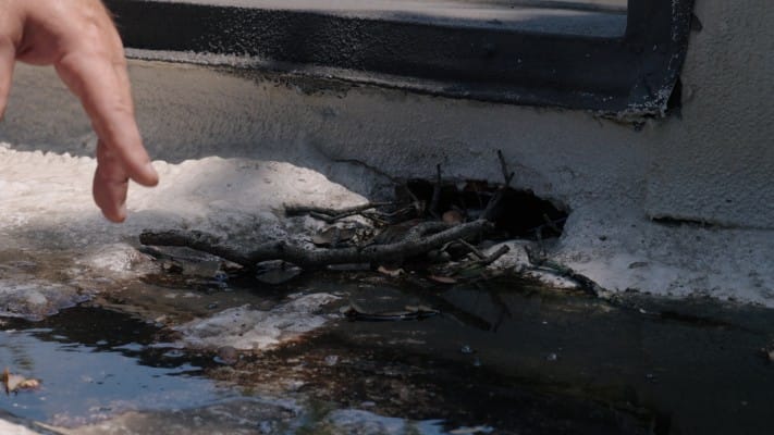 Debris inside a scupper restricting drainage on a commercial roof